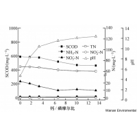 城市污水處理廠污泥臭氧減量技術