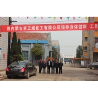 內蒙卓正化工專家來我公司視察